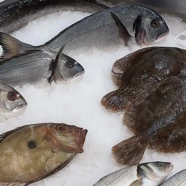 Pescaderia online 