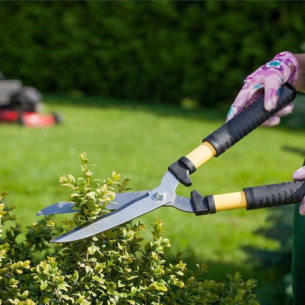 Tienda online de jardiner&iacute;a