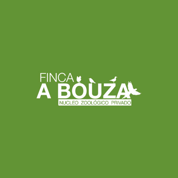 Dise&ntilde;o  de logotipos 