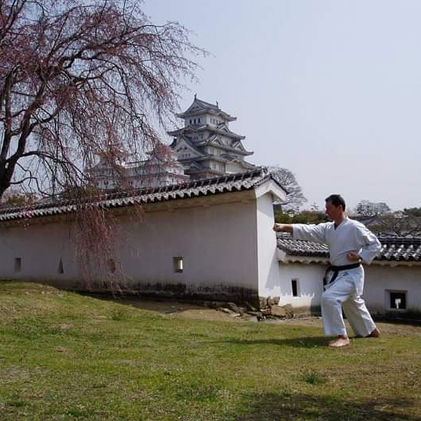 Dise&ntilde;o web Club de karate